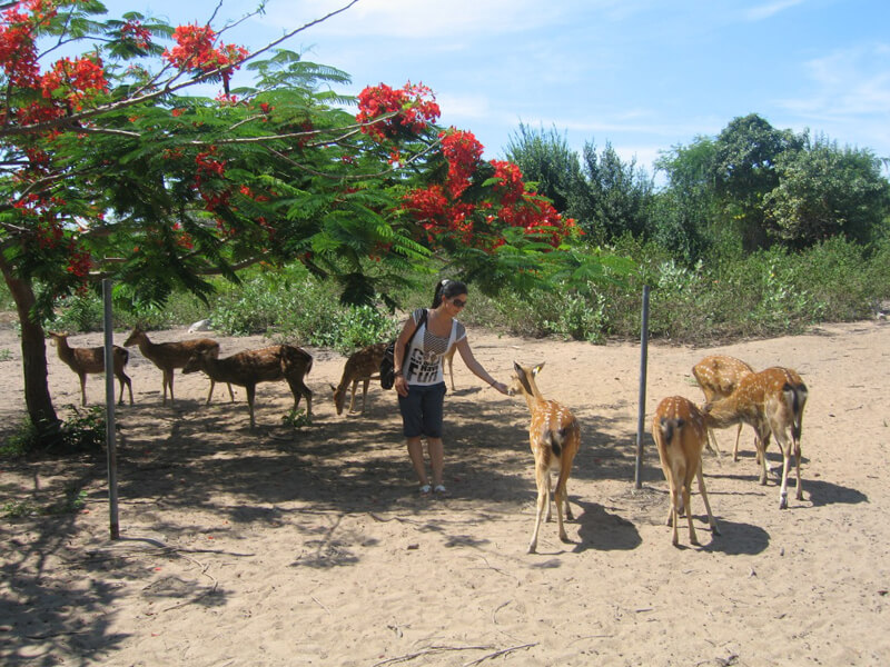 Dao Khi - Suoi Hoa Lan (1)