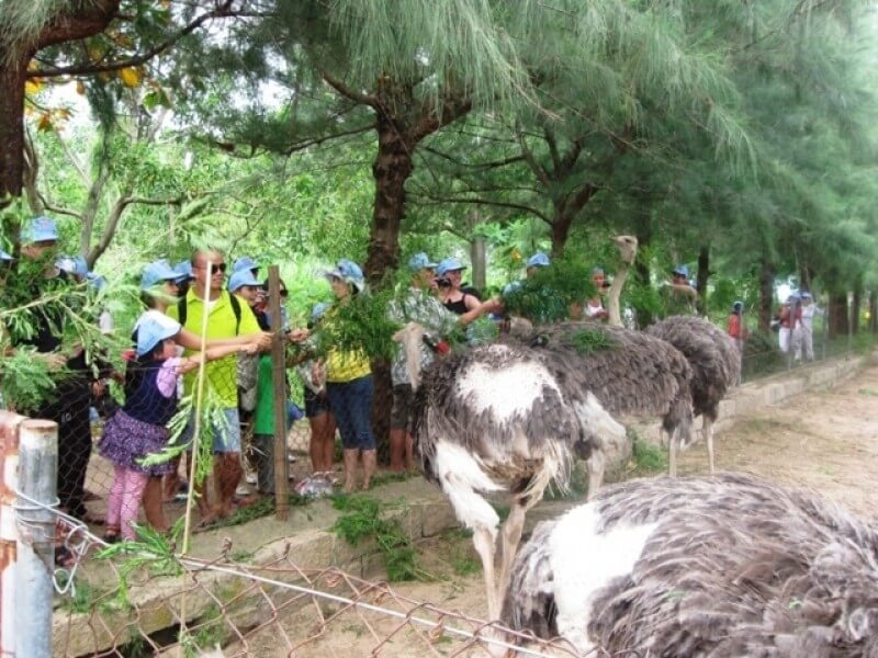 Dao Khi - Suoi Hoa Lan (10)