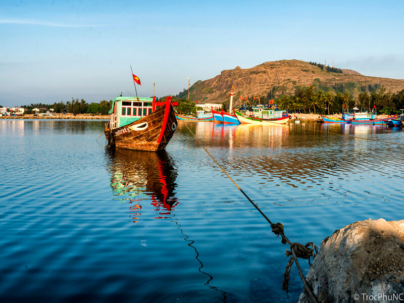 tour lý sơn