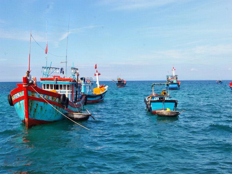 tour lý sơn