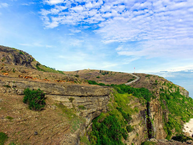 tour lý sơn