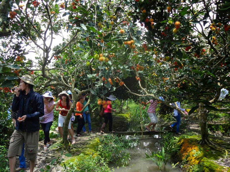 tour miền tây 3 ngày 2 đêm