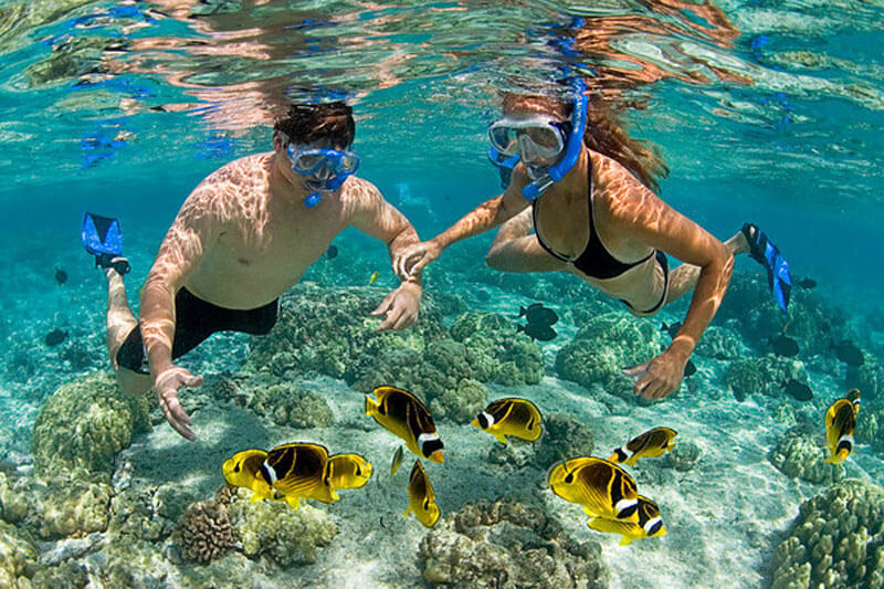 fantastic tour - snorkeling (vịnh san hô - mini beach)