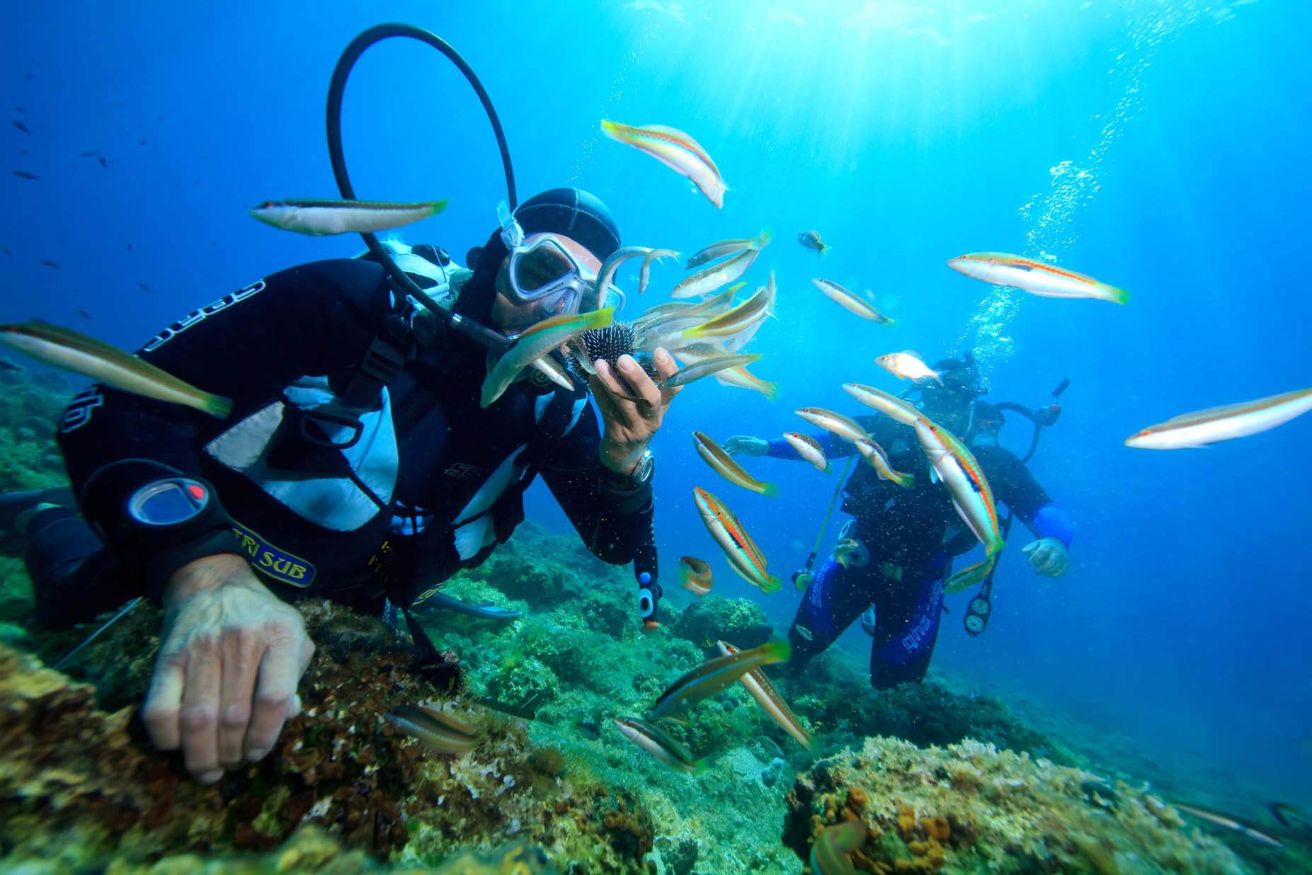 fantastic tour - snorkeling (vịnh san hô - mini beach)