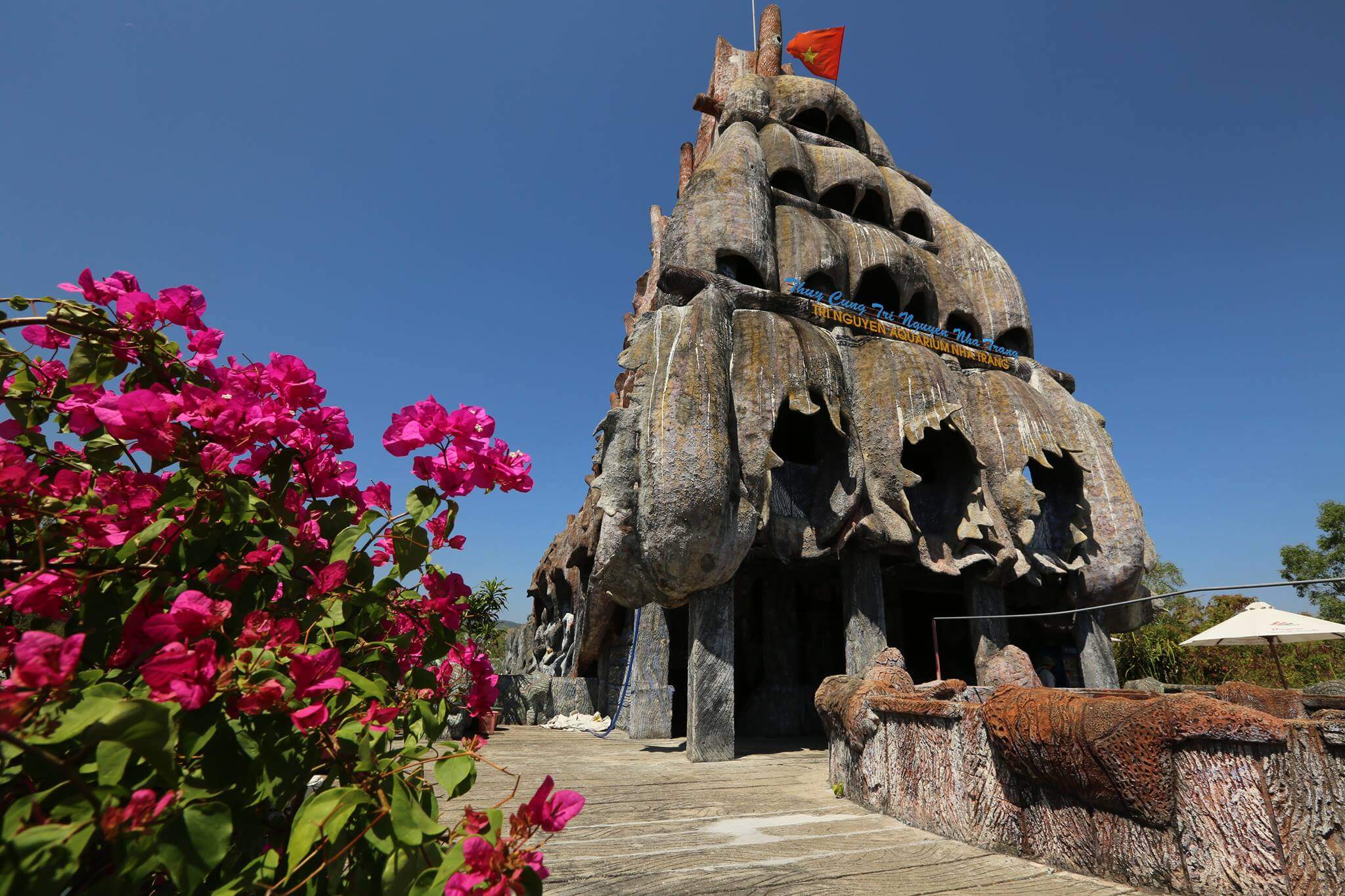 fantastic tour - snorkeling (vịnh san hô - mini beach)