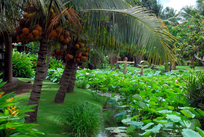 tour miền tây