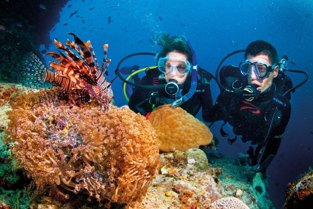 diving cham island