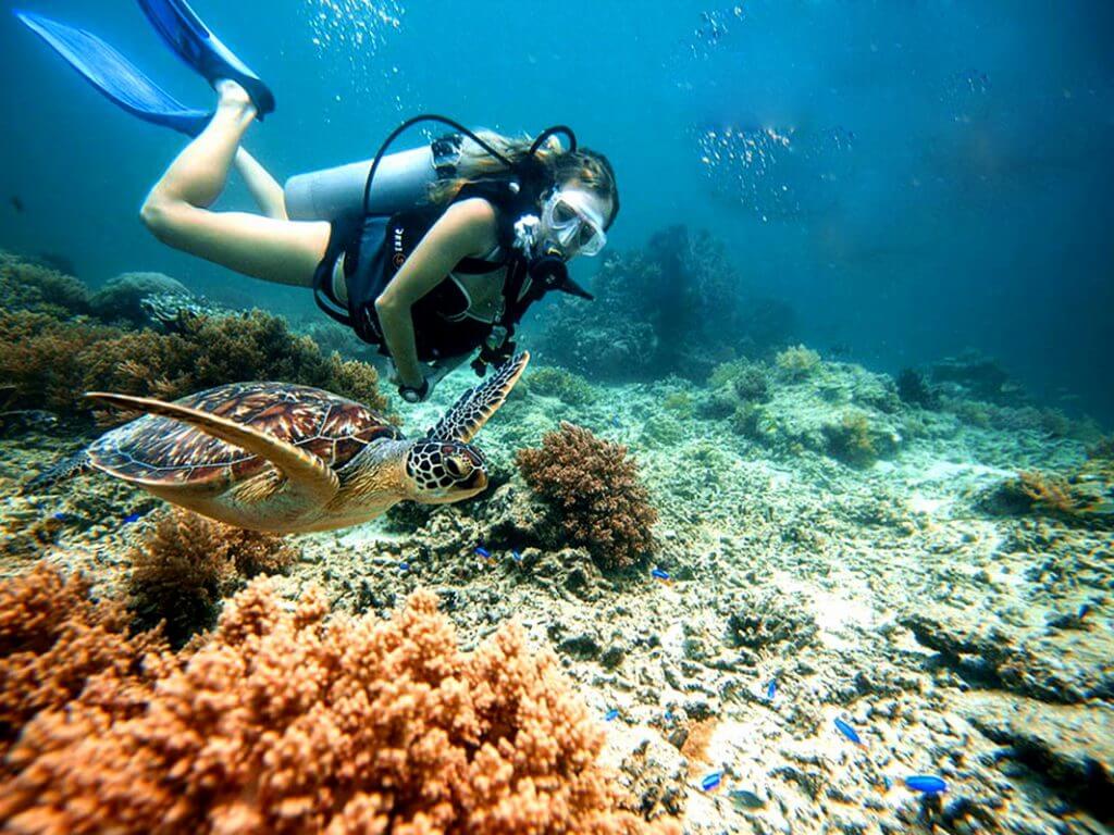 diving cham island