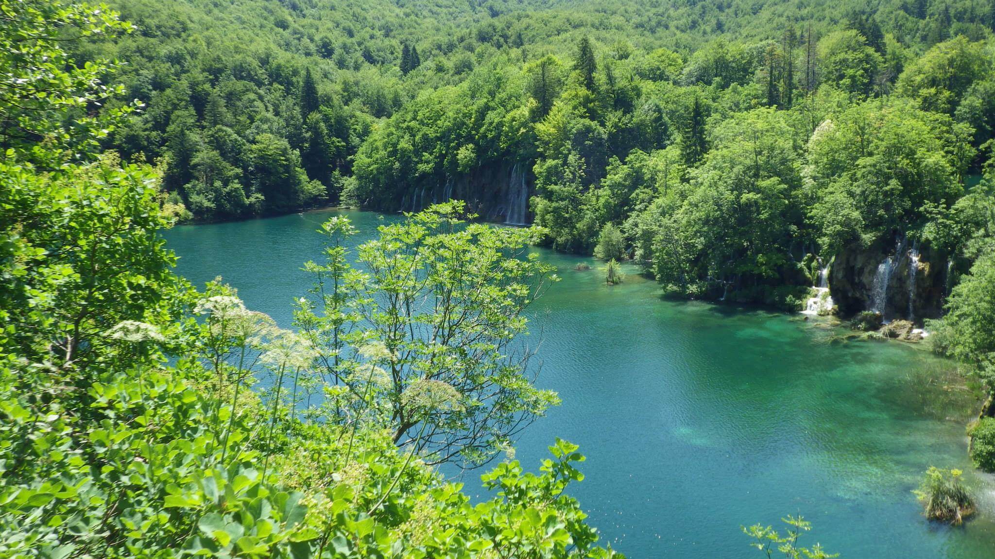 tour quảng bình, động phong nha