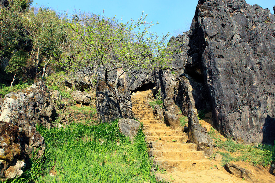 tour hoa lư tam cốc