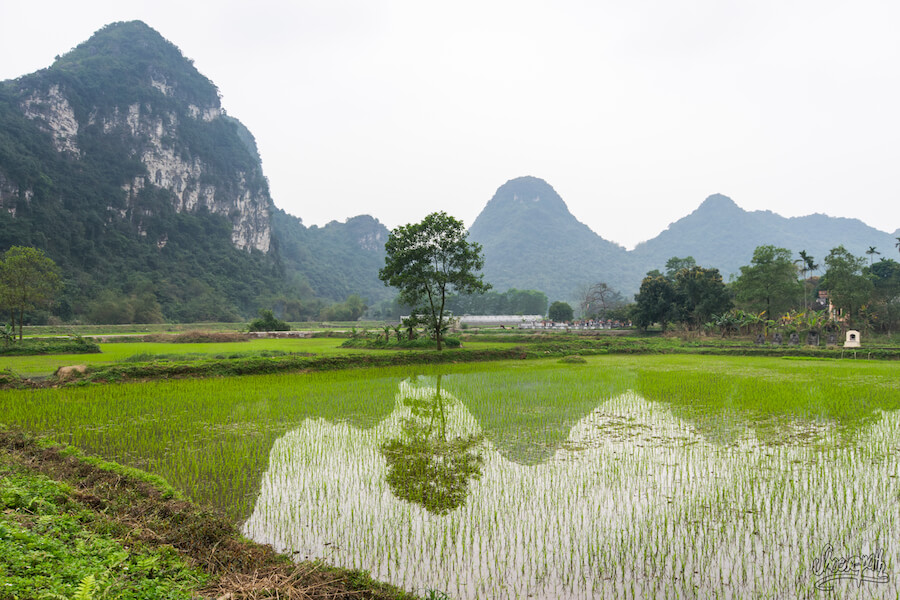 tour hoa lư tam cốc