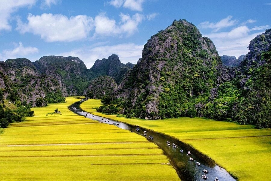 Káº¿t quáº£ hÃ¬nh áº£nh cho tam cá»c