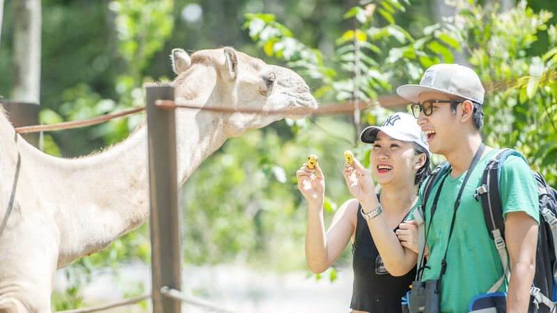 tour phú quốc