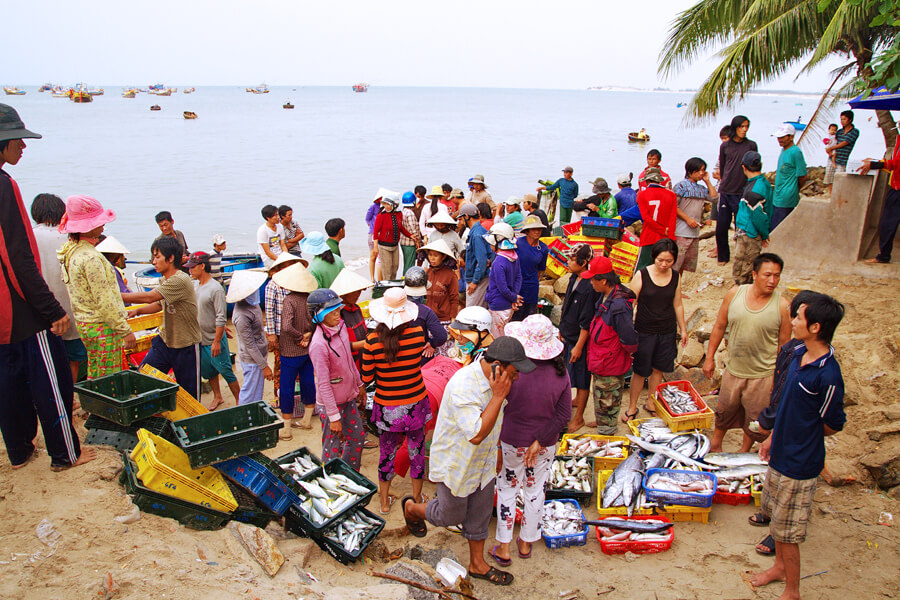 tour phan thiết