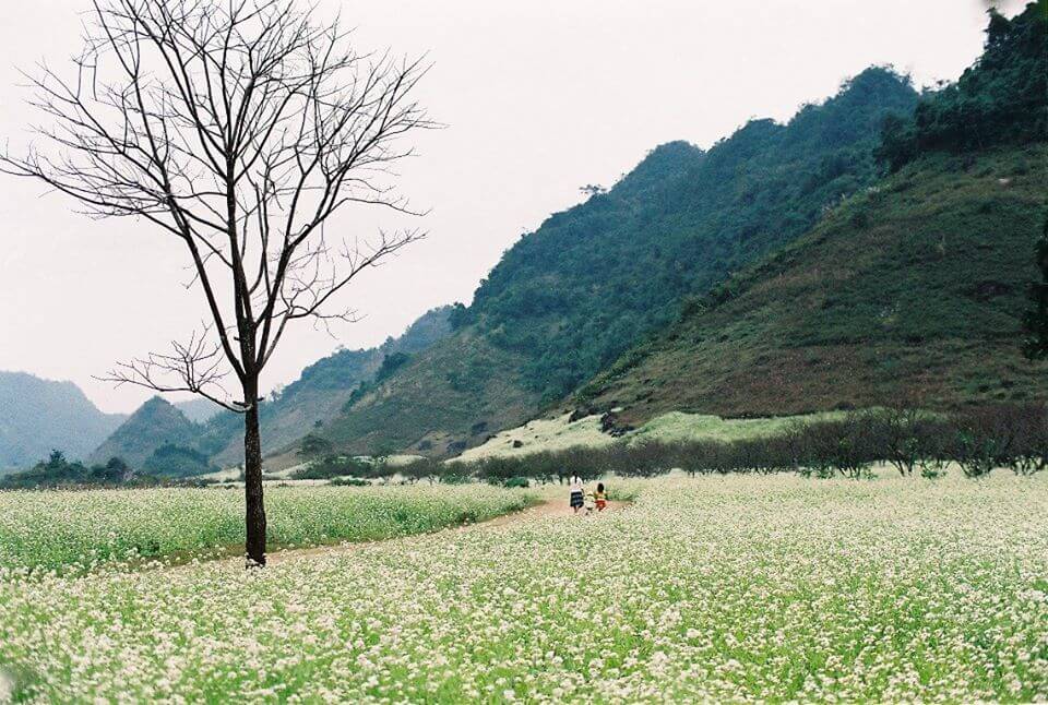 tour hà giang