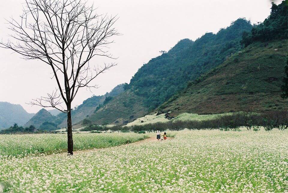 tour hà giang