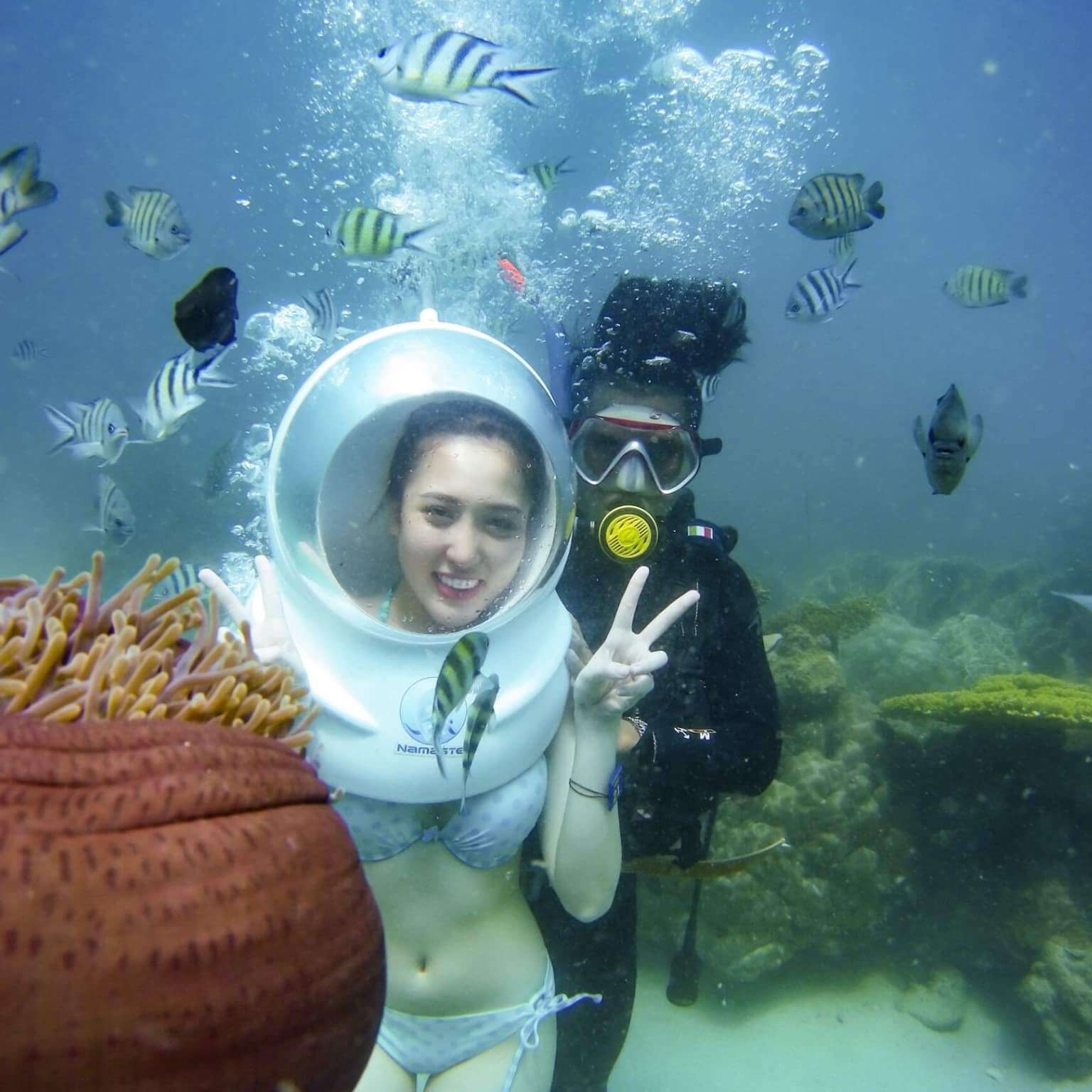 đảo ngọc sơn chà