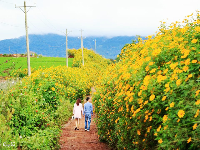 du lịch đà lạt 