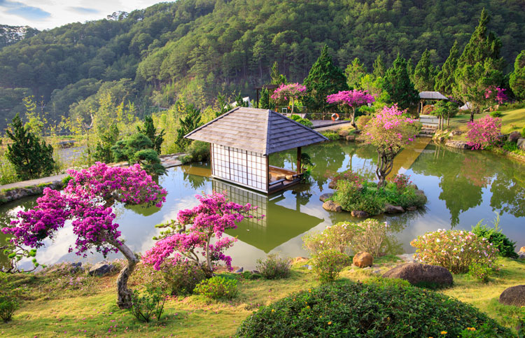 tour đà lạt