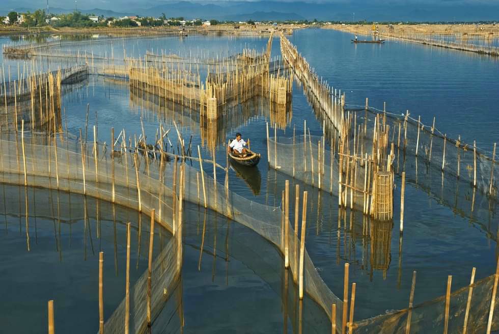 Tour Tam Giang 1 ngày