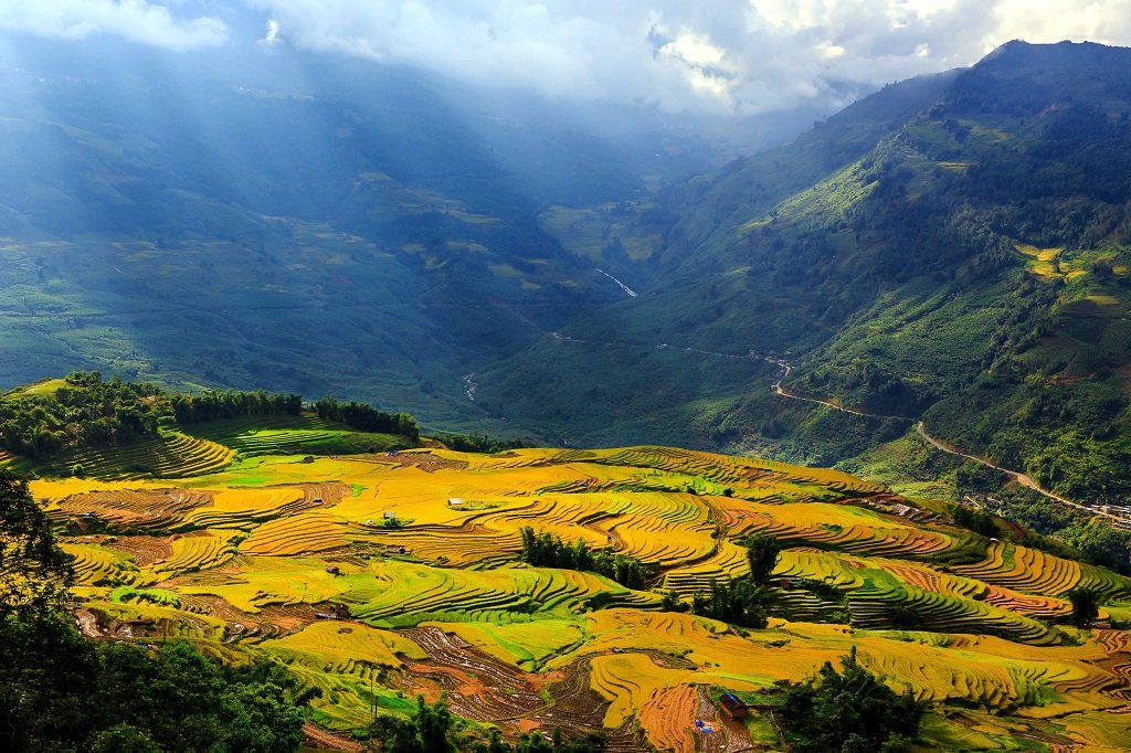 Tour SaPa