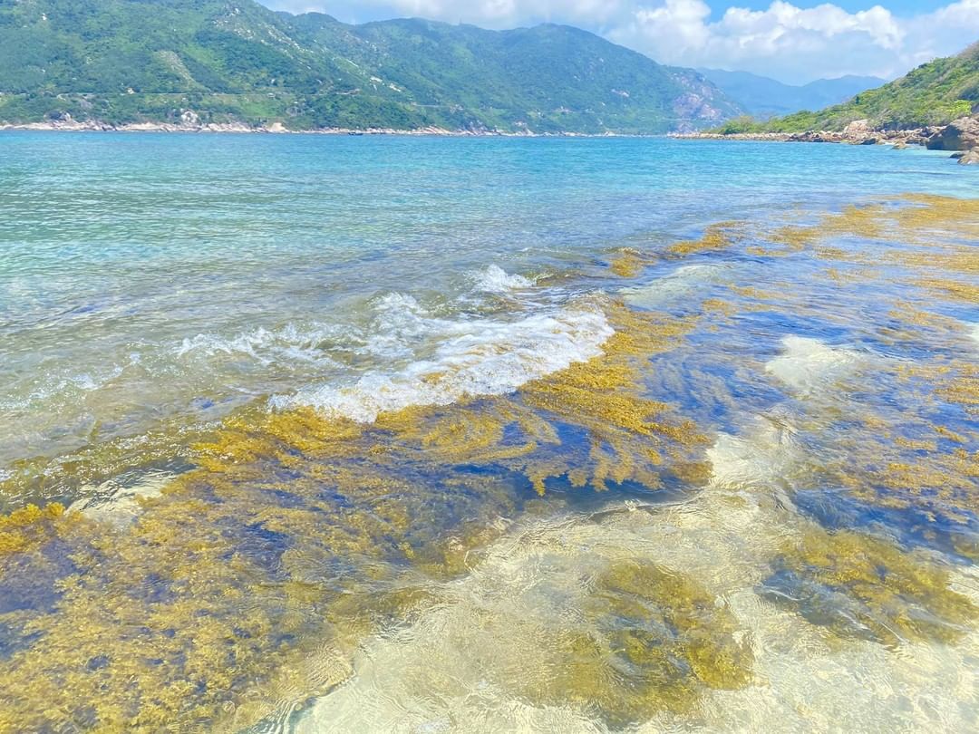 Tour Quy Nhơn - Phú Yên 